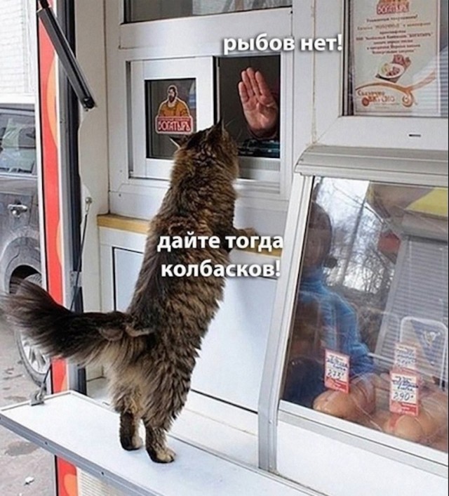 Веселое настроение в картинках (28.09.2025)