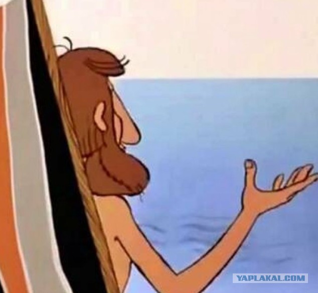 Был бы у меня такой кот...