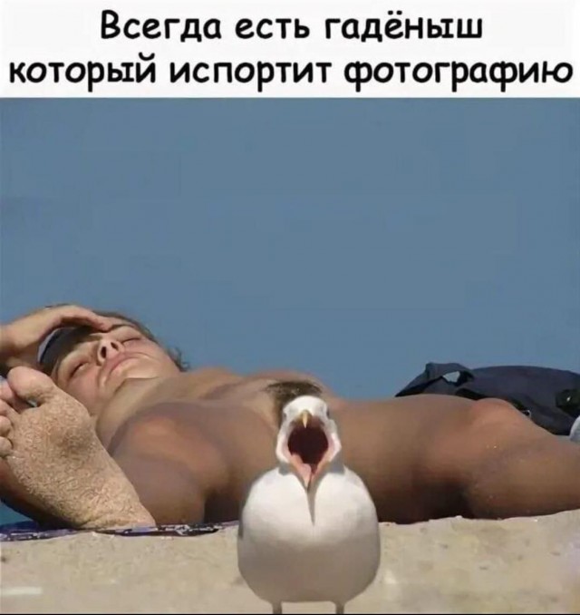 Забавные и не очень скромные картинки - 18