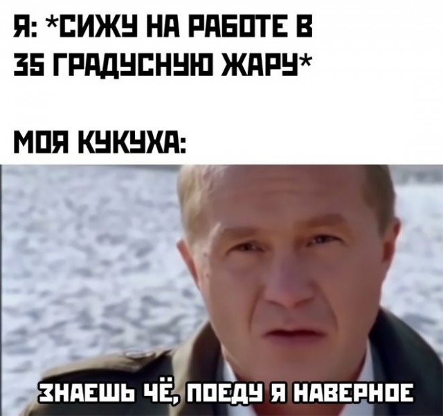 Веселые картинки в пятницу (12.12)
