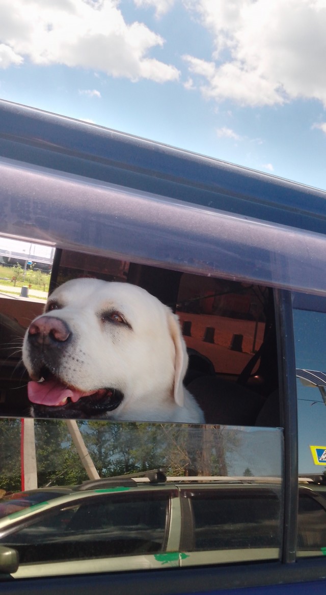 Быстрые рецепты от совы. Доширак