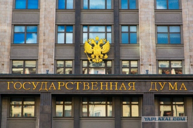В Москве суд обязал девушку выплатить компенсацию мужчине, который облизывал ей обувь в автобусе.