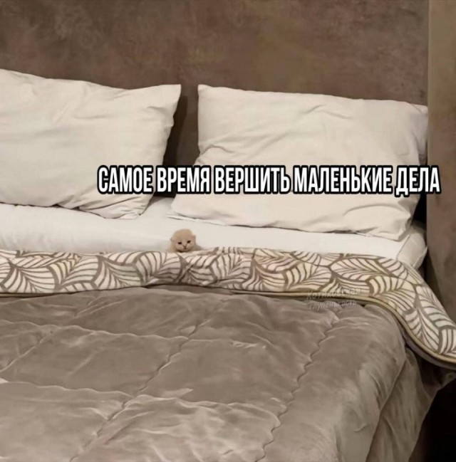 Так себе картинки 24.07.26