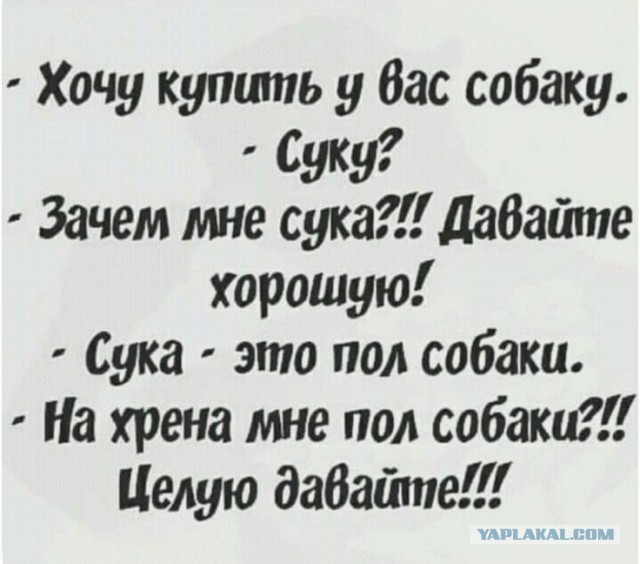 Веселые картинки в маленькую пятницу (21.10)