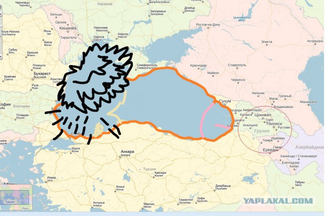 Это интересно