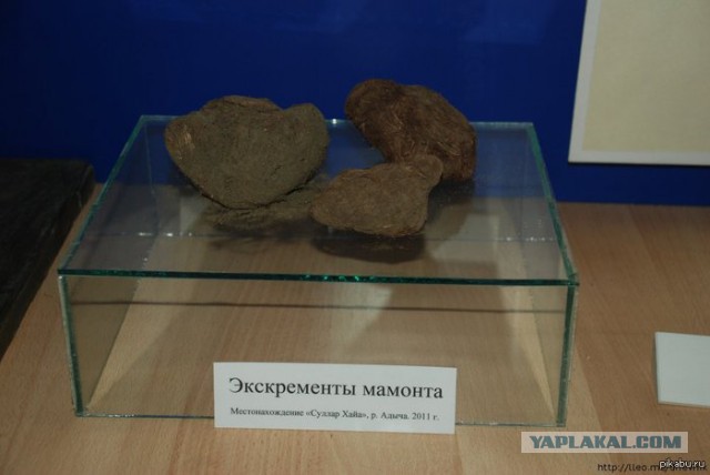 Нашли доисторический камень с «микросхемой»