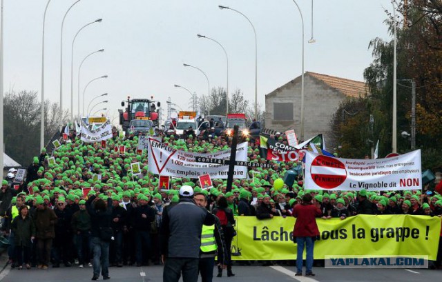 День протеста французских фермеров.
