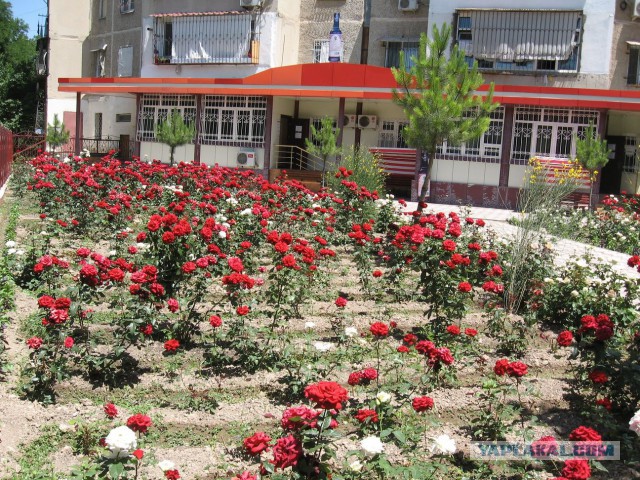 Узбекские мифы