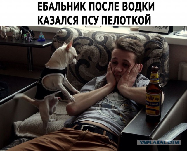 Да-да, это я - твоя белочка