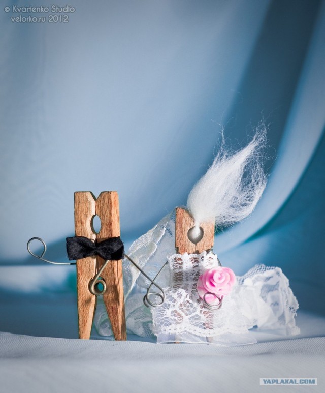 Жизнь прищепки. Свадьба (11 фото)