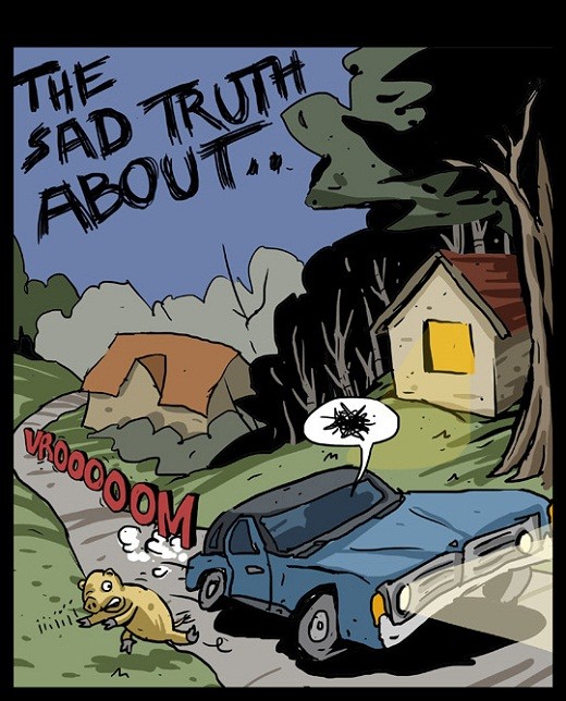 Горькая правда...