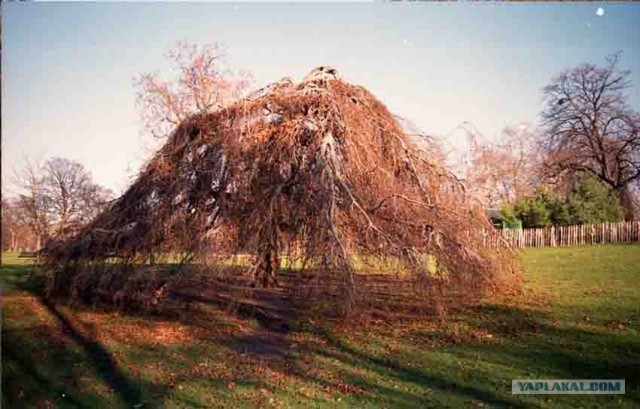 Золотая осень
