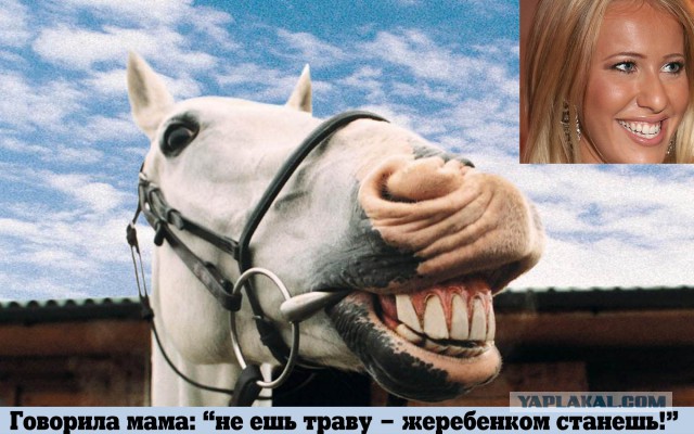 Собчак сравнила себя с Поклонской