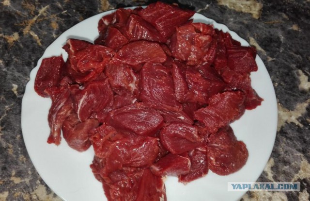 Мировая кулинария. День повара