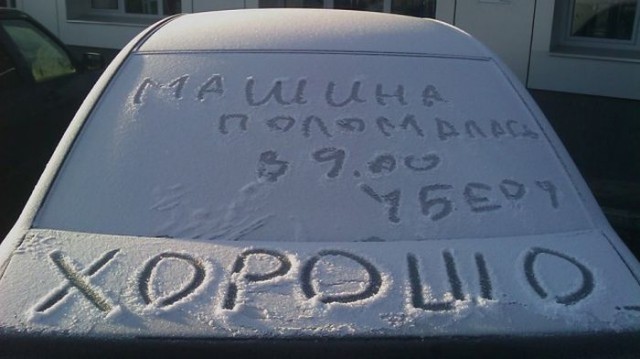 Подборка интересных и веселых картинок