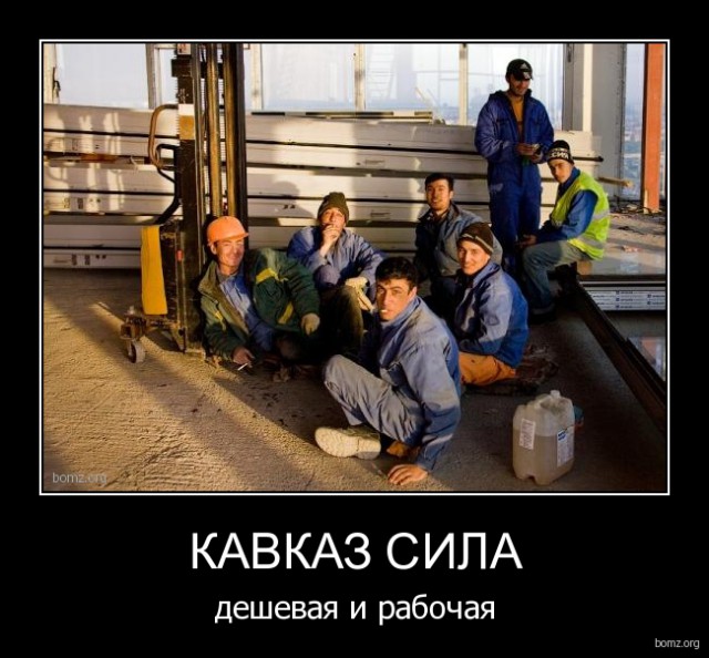 Подборка интересных и веселых картинок