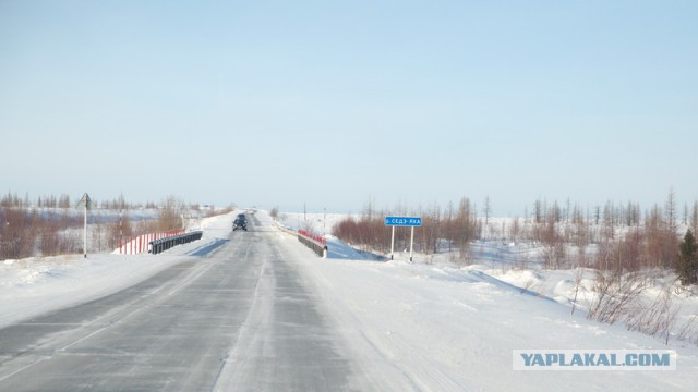 Новый Уренгой-Надым, покатушки  в выходные на День Оленевода