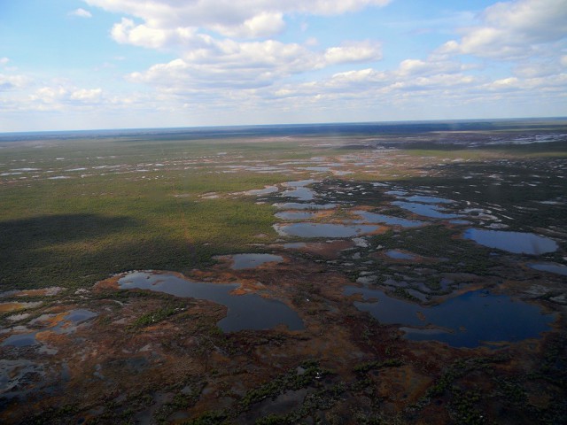 Большое Васюганское болото - природный феномен, не имеющий аналогов в мире!