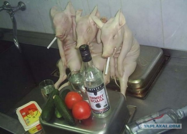 Свиной Грипп: Маски-шоу