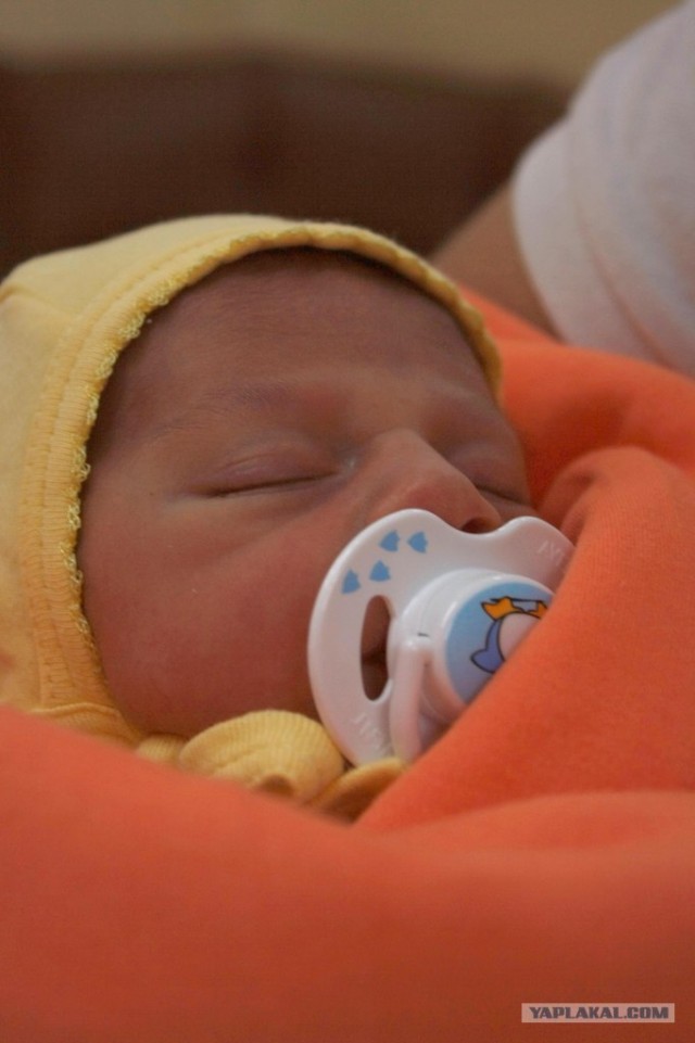 Волшебные грибочки