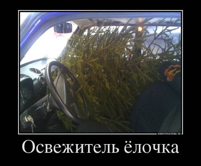 Когда забыл вынести мусор..