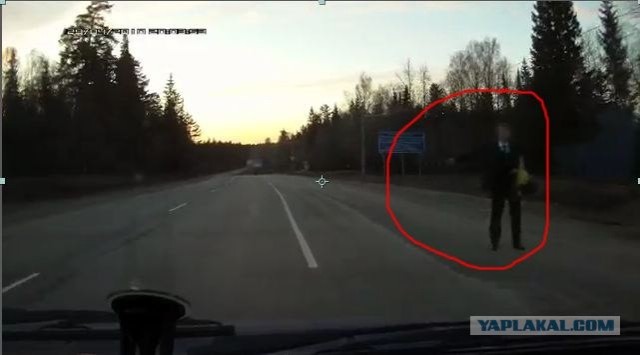 Ловушка ГИБДД