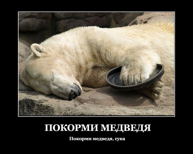 А может все-таки погладим?