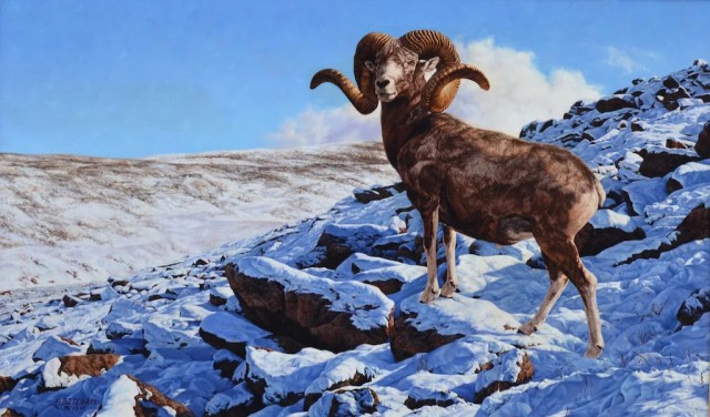 Милые животные. Мимиметр сломался