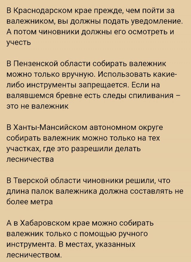 За неправильный хворост грозит штраф и даже колония. Как собрать валежник и не попасть под уголовную статью...