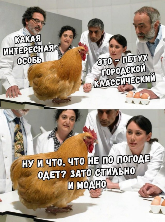 Немного картинок для настроения