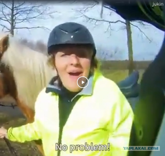 Скутерист и наездница