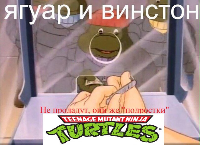 Куда катится жизнь