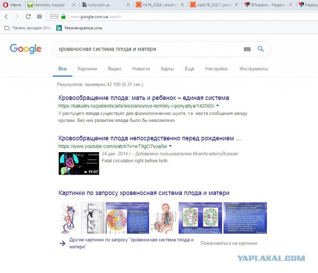 Медицинские факты, в которые трудно поверить