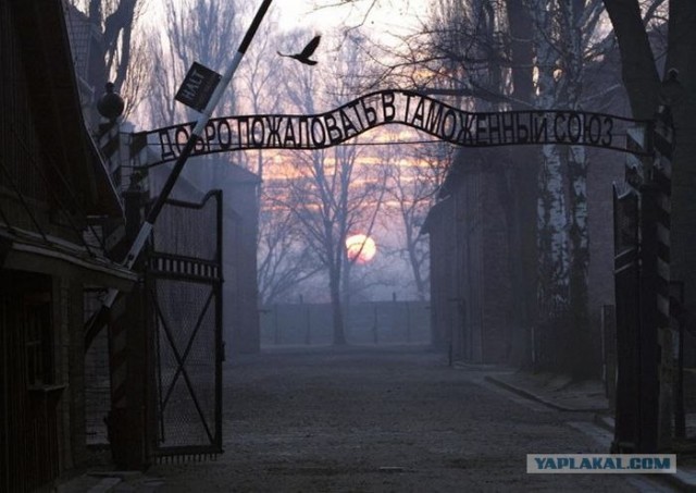 Что означает название группы LMFAO?