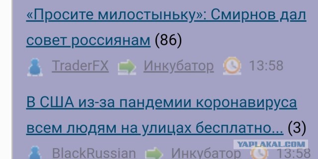 Как выжить во время карантина