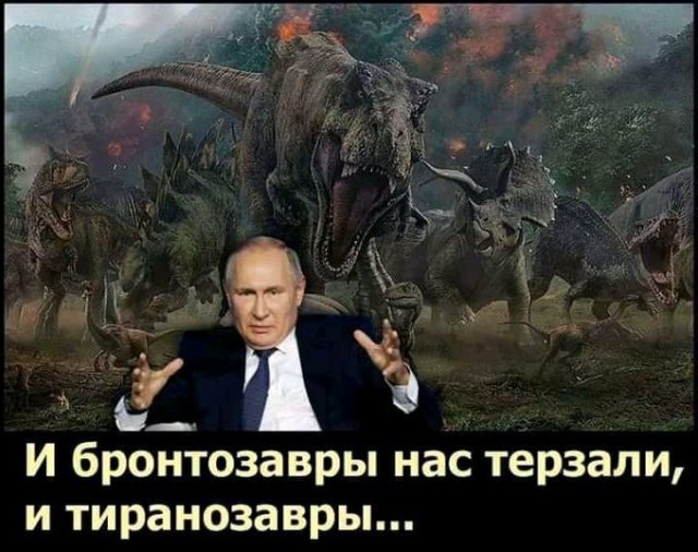 Свинегрет: картинки, надписи и прочее на 11.05 или №24