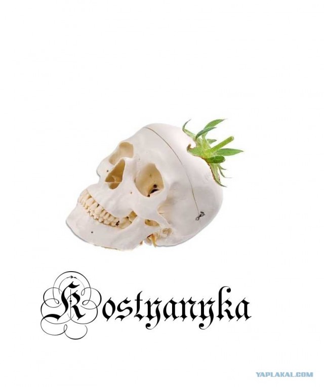 Фотожаба: Лето, фрукты, генетика!