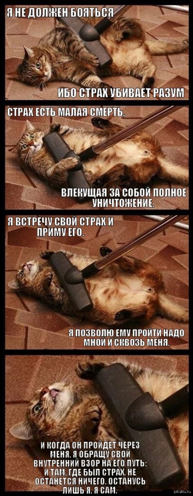 «Однажды родится легенда» — первый трейлер «Дюны» Дени Вильнёва
