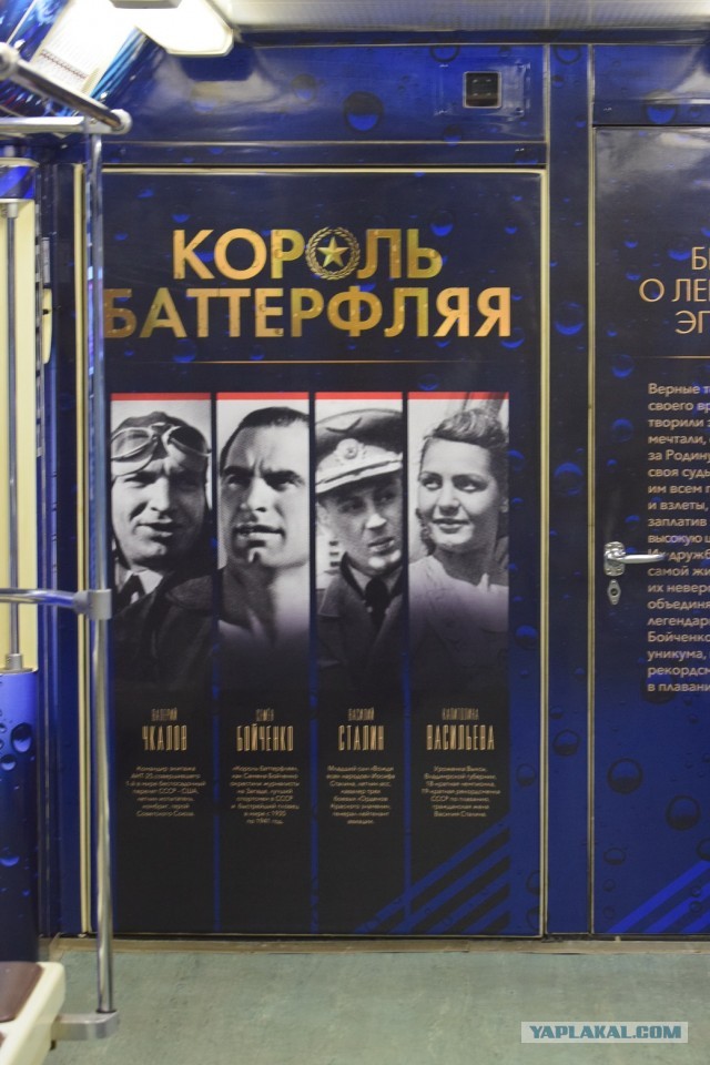 История любимого пловца Сталина