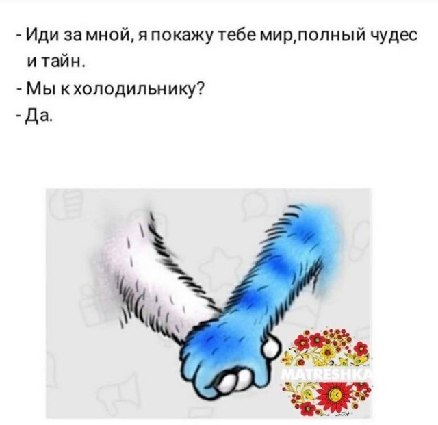 Юмор в картинках 11.11.2020 (2)