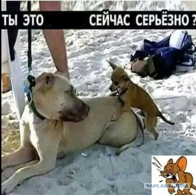 Скандал в очереди. Я склочная баба или паладин  в сверкаюших доспехах?