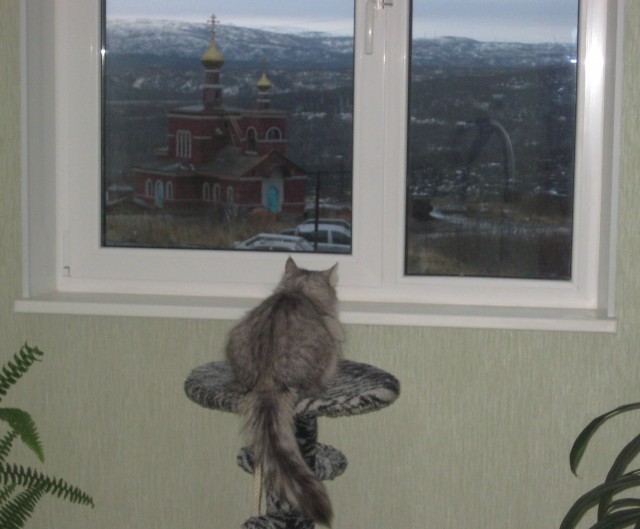 Вид из моего окна