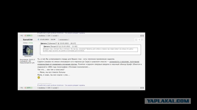 Немного размышлений о содержании собак в городских условиях. Про «бойцовых» собак, «псиношиз» и говно…