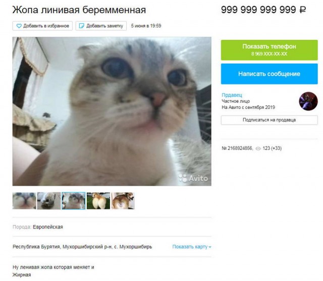 Чудики с Авито