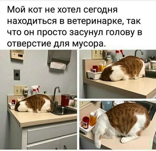 Картинки с надписями и всякие жизненные фразы 16.06.21