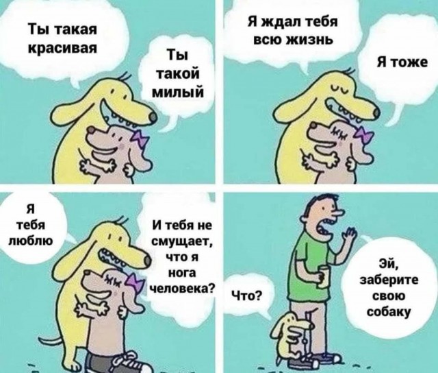 Всяческие картинки 19.07.2021