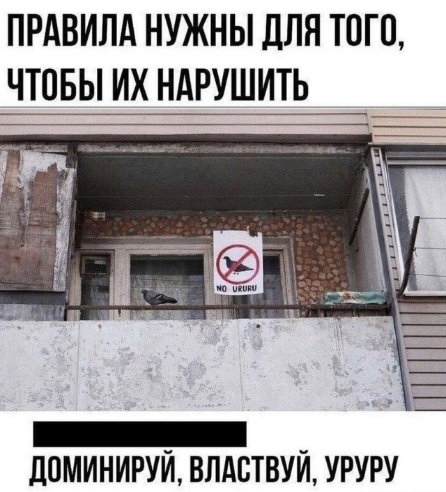 Так себе картинки 20.08.21