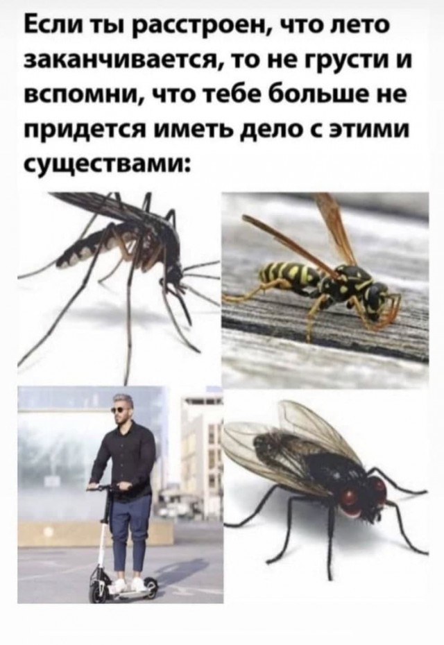 В Уфе девушка на самокате едва не сбила мужчину. За это он ударил её кулаком в лицо