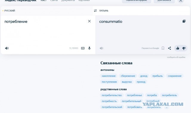 «Зарабатывала по 300 тысяч»: история екатеринбурженки, которая три года была собутыльницей за деньги