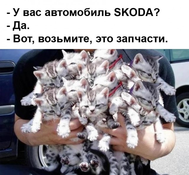 Так себе картинки 04.11.21
